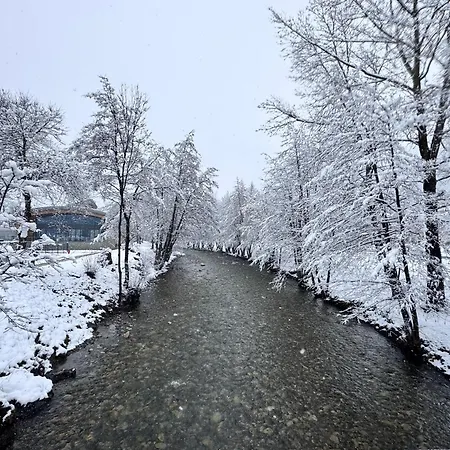 Neuf T3 Avec Jardin Au Bord Du