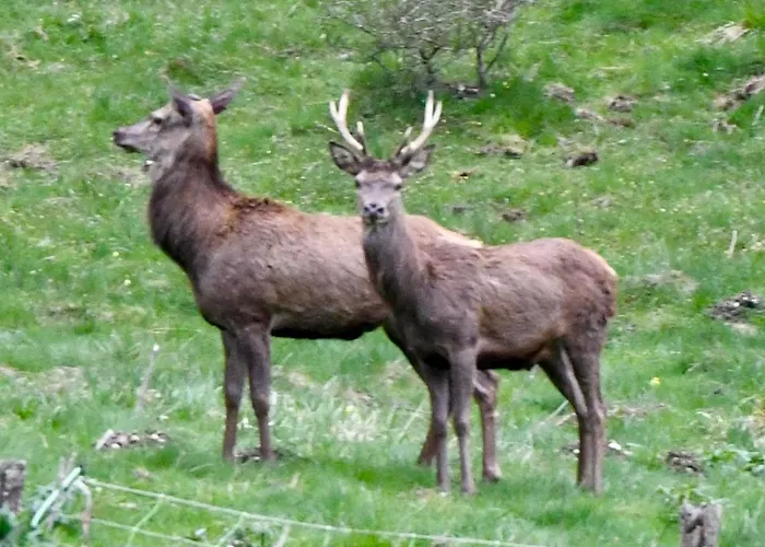 Neuf T3 Avec Jardin Au Bord Du Апартаменты *