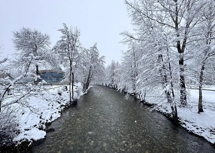 Neuf T3 Avec Jardin Au Bord Du